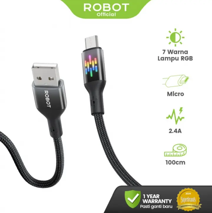 Robot Data Cable RGBC100 Type C to Type C 3A RGB